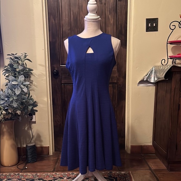Elegant Blue Sleeveless Dress - Picture 1 of 7